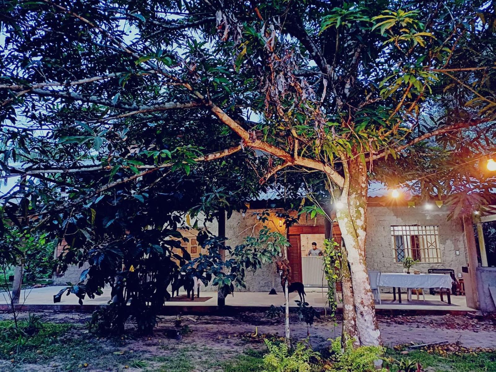 Eco Sitio O Labirinto Do Fauno Hotel Mosqueiro  Exterior photo